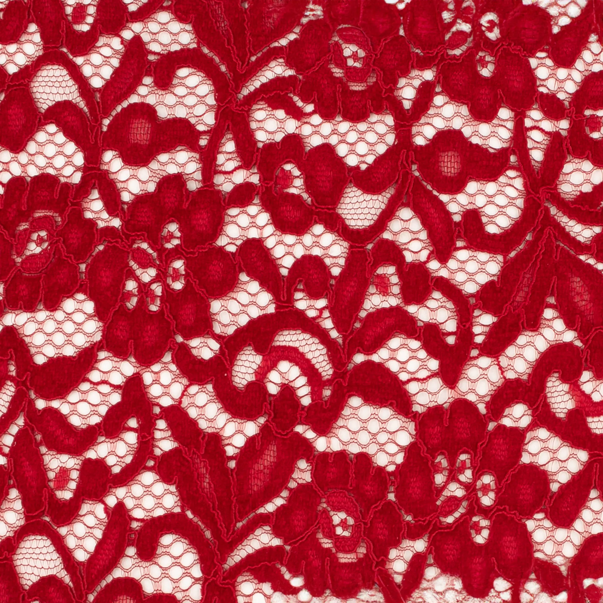 Dentelle cordée - FABULOSA - Red