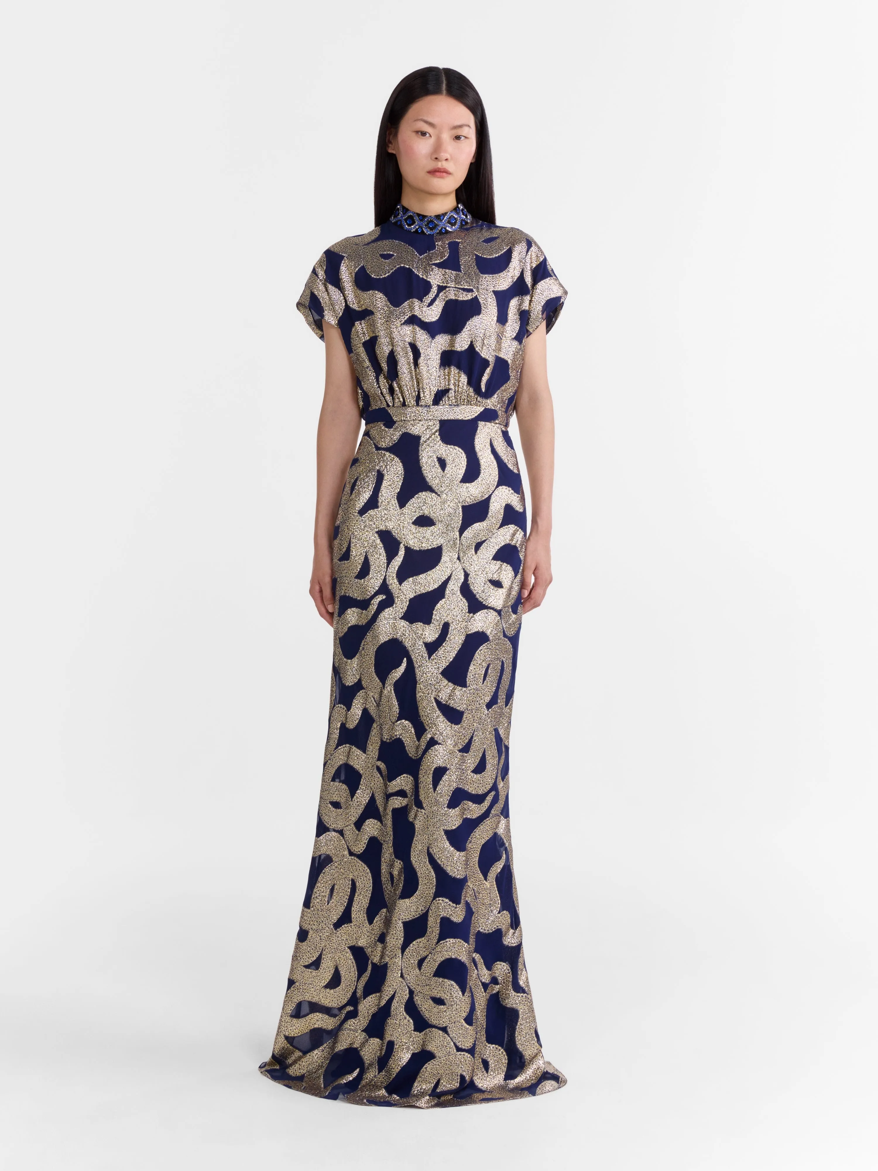 Fabienne Long C Dress in Navy Jet Adder Embroidery